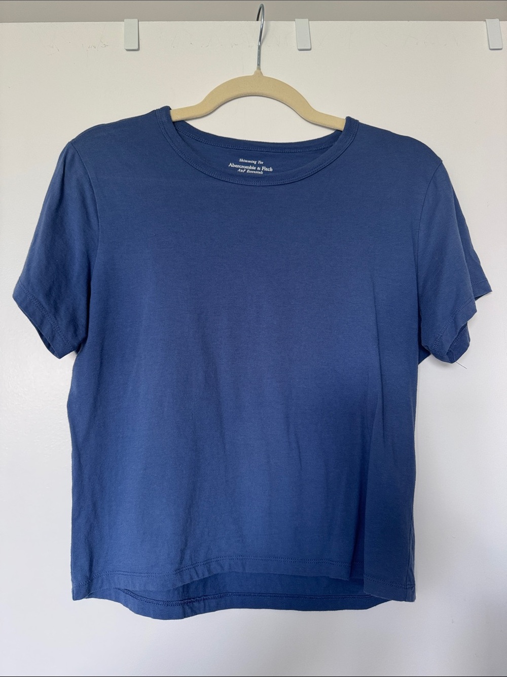 Abercrombie & Fitch Women's Blue Short Sleeve Crewneck Tee